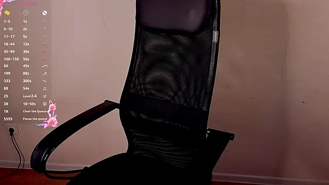 stelamontis webcam