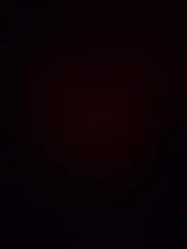 Fanritar webcam