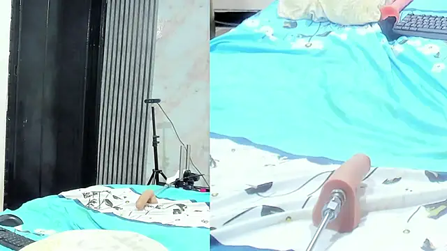 sofi_boll25 webcam
