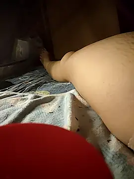 -Tara-a webcam
