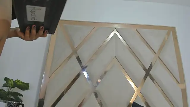 mitch_asm webcam