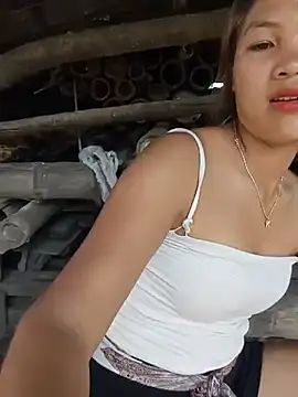 GiniEi webcam