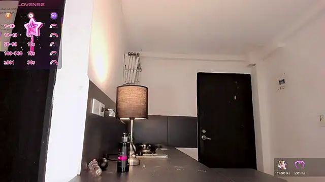 Nikol-hilton's room
