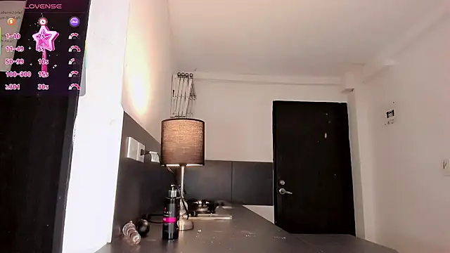 Nikol-hilton webcam