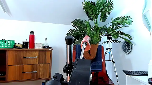 KarlaHartley webcam