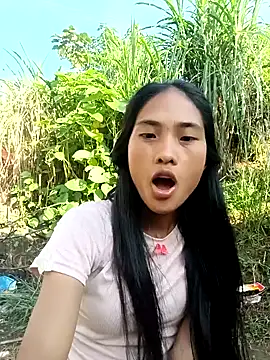 Hoa-tuylip