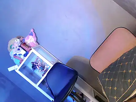 coffe_cat28 webcam