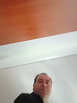 gladieitore