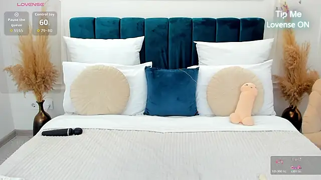 MonCarla webcam