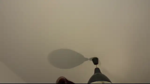 mulaniha webcam