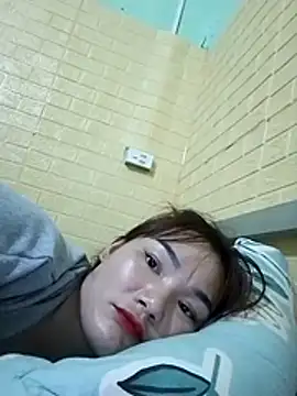 Voiva11 webcam