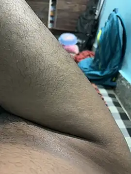 BullDominant_Master webcam