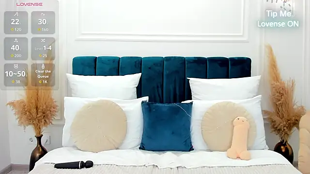 MonCarla webcam
