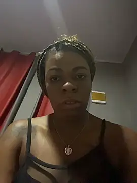 Priihmedeiros webcam