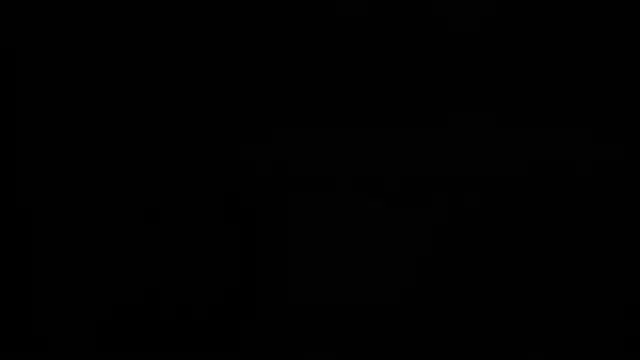 Aurora_Real webcam