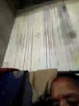 Loomaraj webcam