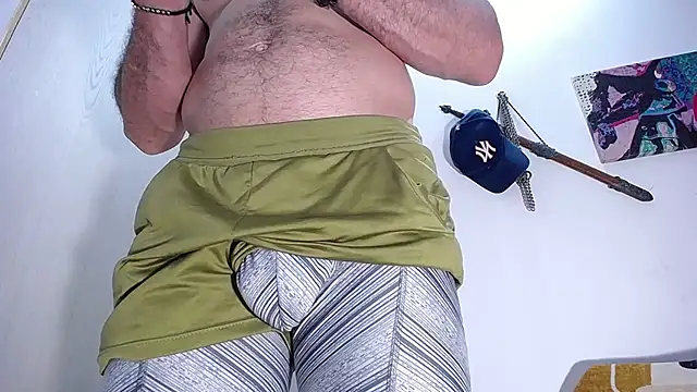 damn_fox webcam