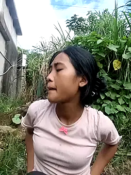 Hoa-tuylip