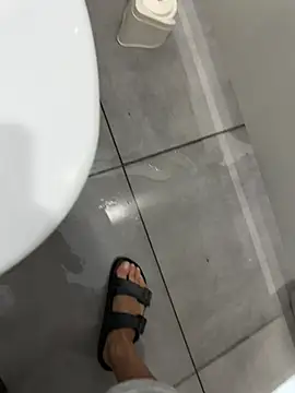 Turkishleo