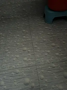 NoddingScorpion webcam