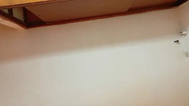 leoneriss webcam