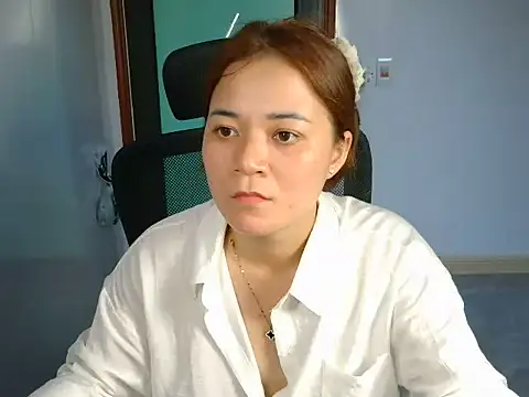 L_We webcam