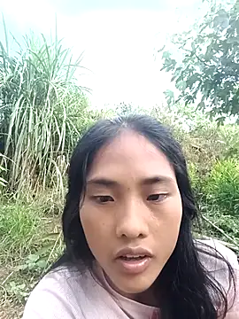 Hoa-tuylip