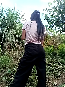 Hoa-tuylip