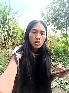 Hoa-tuylip