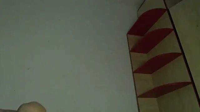Fudzik0 webcam