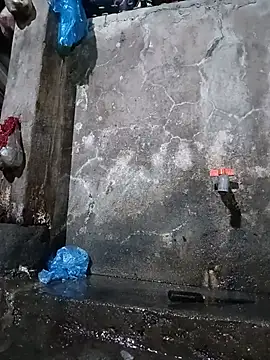 an-orphan webcam