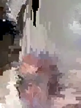 feoggt webcam
