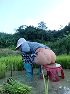 Belle_hi webcam