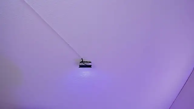 dalila_salazar webcam