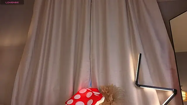 LollaStich webcam