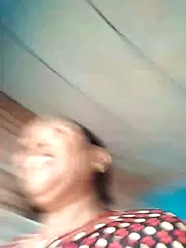 Loomaraj webcam