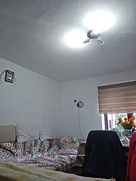 IsabelleCraft webcam