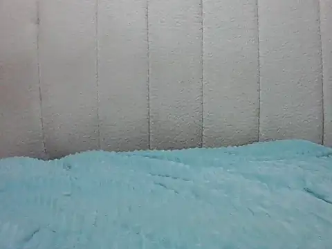 Tehiller webcam
