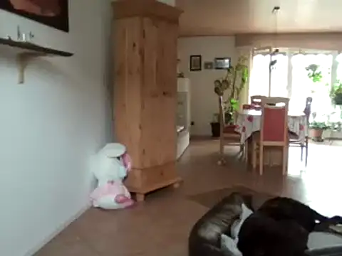 Nobbie444 webcam