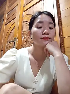 Td3di webcam