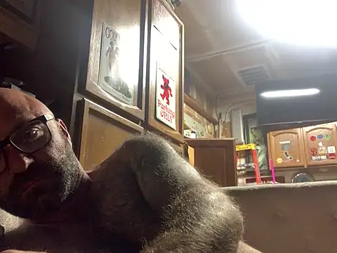 calimeatstick webcam