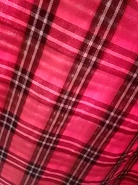 SpiceDiana1 webcam