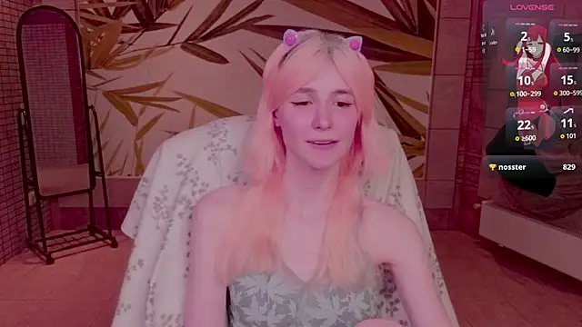 fleximona webcam