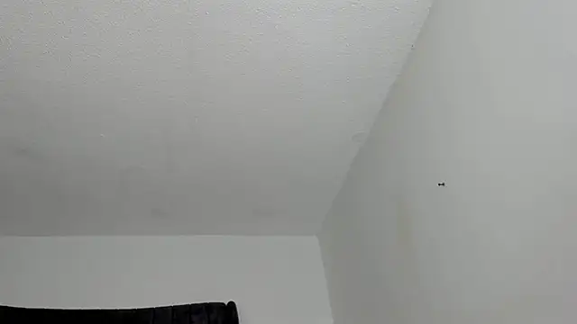 MiaKhal_ webcam