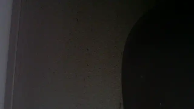 alealae webcam
