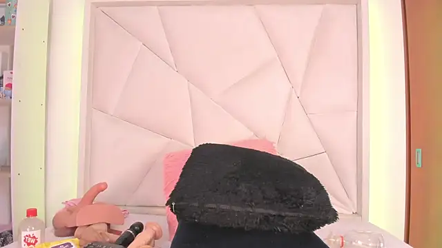 vane_fox1530 webcam