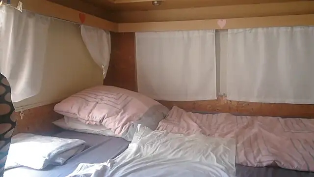 Sylly webcam