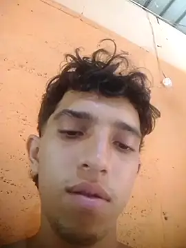 Noscay webcam