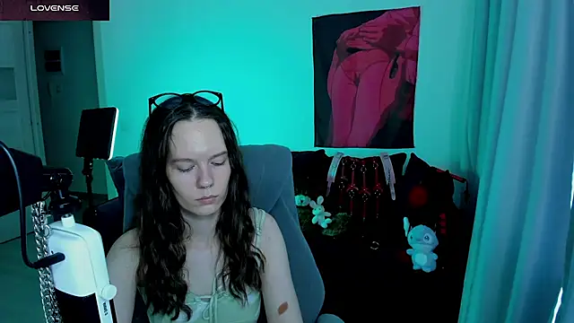 Vulgar_Tamer webcam