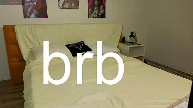 Vonen_Ray webcam